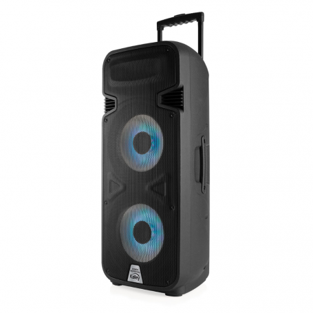 Parlante Kalley K-SPK300D Bluetooth 300W FM USB Negro