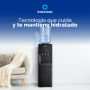 Dispensador de Agua Indurama DAI-3ANE con Gabinete